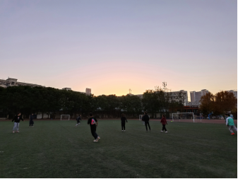 威廉希尔足球网